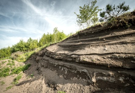 Layers of volcanic rock in a landscape with trees and blue sky.