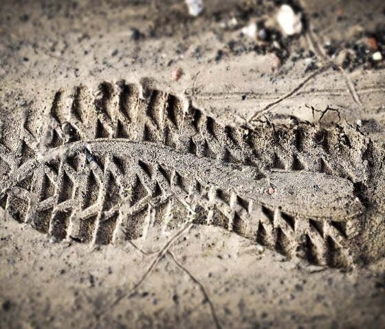 Shoe sole print in a brown muddy ground., © pixabay