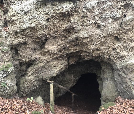 Ingang tot Martin's Cave in Hohenfels-Essingen, bedekt met een houten bord en herfstbladeren., © Touristik GmbH Gerolsteiner Land