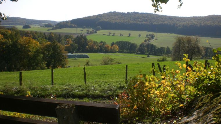 Eine malerische Landschaft mit sanften Hügeln und grünen Wiesen. Im Vordergrund sind bunte Pflanzen und eine Holzbank zu sehen.