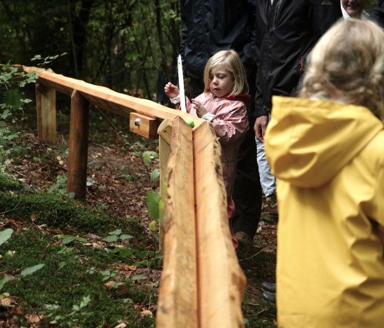 Ein Junge l&auml;uft neben einer Holzbahn, auf der eine bunte Kugel rollt, durch einen Wald.