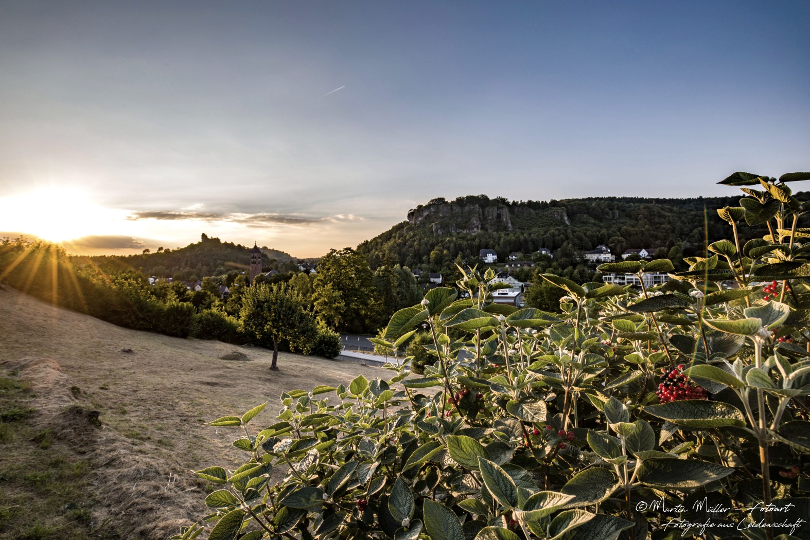 Blick durch Sträucher zu den Dolomitfelsen über der Stadt Gerolstein bei grellem Sonnenuntergang.