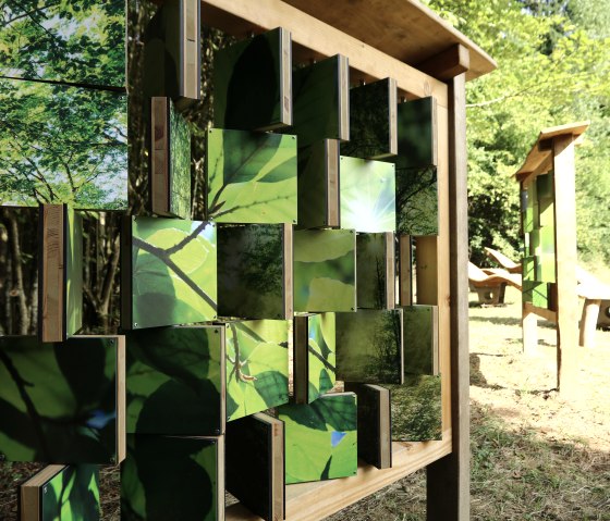 Bilderwand, &copy; Thomas Langens