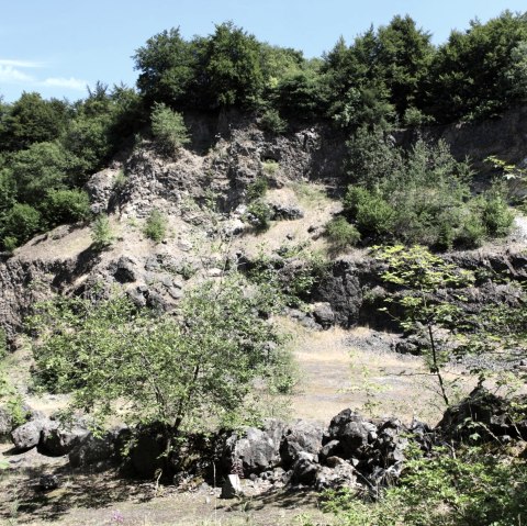 Arensberg Formation, © © Thomas Regnery