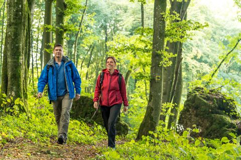 Zwei Wanderer laufen über einen kleinen Pfad mitten druch einen dichten Laubwald.