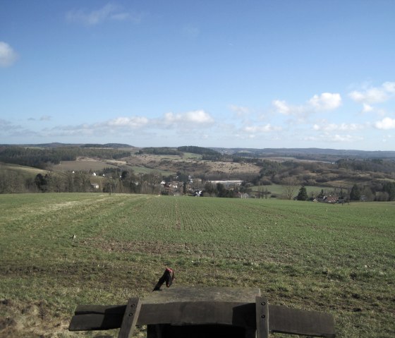 Uitgestrekt landschap met groene velden, heuvels en verspreide huizen onder een blauwe hemel met weinig wolken., &copy; Touristik GmbH Gerolsteiner Land, Ute Klinkhammer