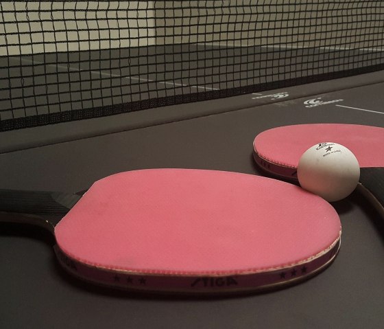 Tischtennis, &copy; Pixabay