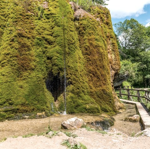 Nohn waterfall, © Foto Achim Meurer