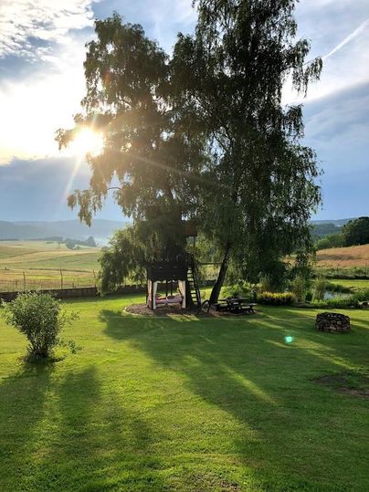 Un beau jardin avec un grand arbre et une balançoire. Le soleil brille à travers les branches et crée une atmosphère relaxante.