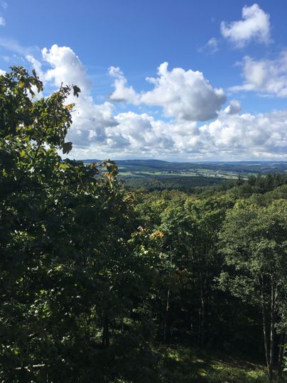 Eine schöne Aussicht auf grüne Wälder unter einem bewölkten Himmel. Weite Landschaften erstrecken sich im Hintergrund.