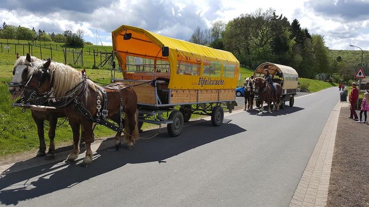 Zwei Planwagen, gezogen von Pferden, stehen auf einer Landstraße. Der vordere Wagen trägt die Aufschrift 'Eifelkutsche'. Im Hintergrund grüne Wiesen.