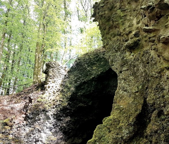Hohe Felswände mit einem Höhleneingang dazwischen. Links daneben ein dichter Laubwald.