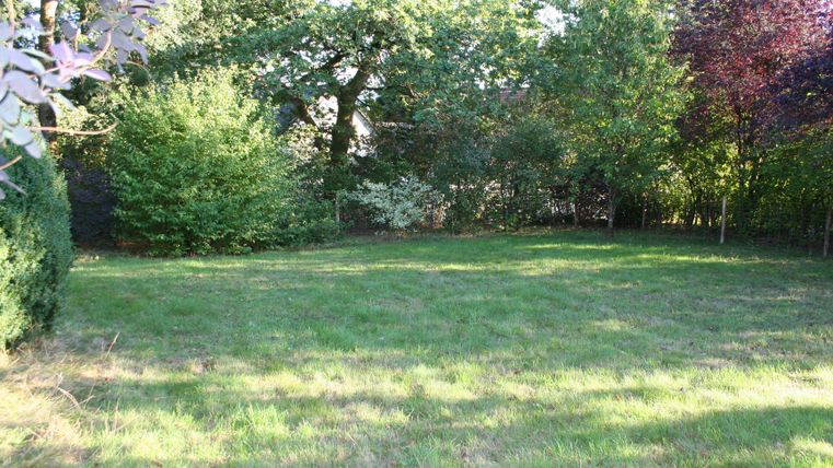 Een groene weide omringd door bomen en struiken. De lucht is helder en er is veel zonlicht.