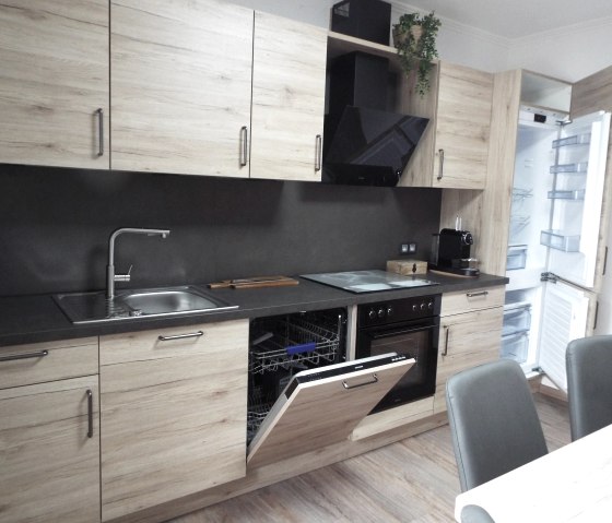 moderne Küche mit Spülmaschine