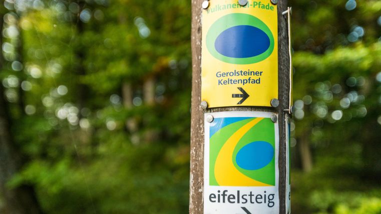 Zwei Wanderwegschilder für den Gerolsteiner Keltenpfad und den Eifelsteig sind übereinander an einem Holzpfahl mit Nägeln befestigt. Im Hintergrund ist ein Wald.