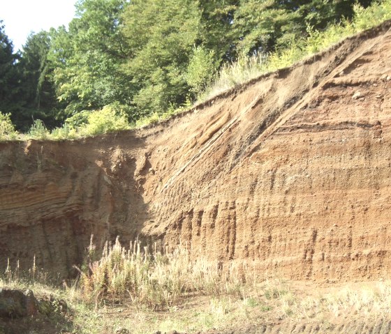 Erosion wall with visible layers of soil, overgrown with trees and shrubs. The earth shows different layers of color., © Touristik GmbH Gerolsteiner Land