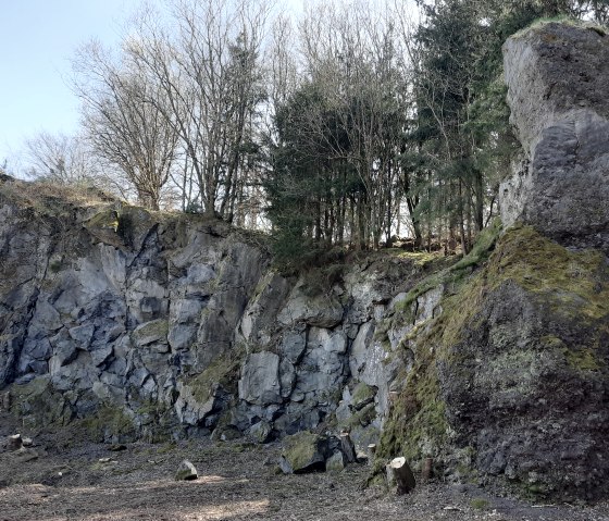 Eine massive Felswand mit Bäumen darauf.