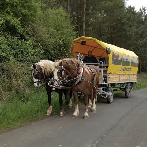 Planwagenfahrt Eifelkutsche (1), © Barger