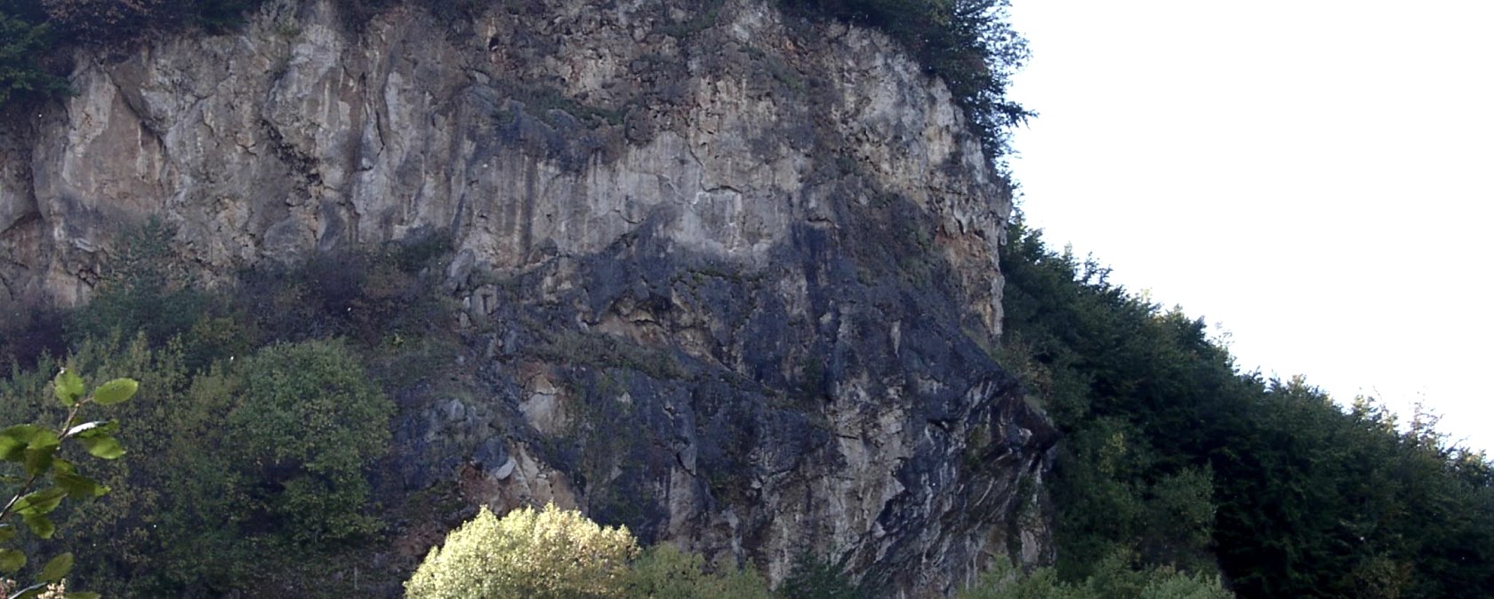 Weinberg (1), © Schmitz