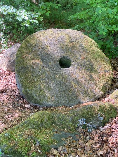 Ein großer Mühlstein liegt auf einem Waldboden.