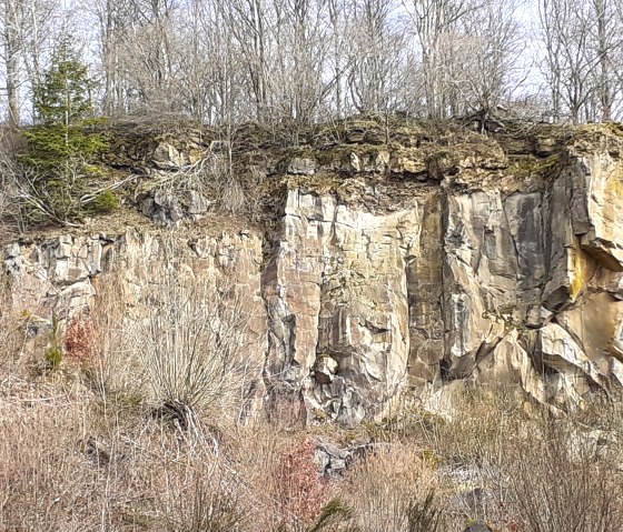 Rockeskyller Kopf basalt quarry with steep rock faces, bare trees and sparse vegetation in the foreground., © Touristik GmbH Gerolsteiner Land, Ute Klinkhammer
