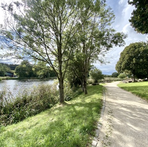 Ein sonniger Weg im Bolsdorfer Tälchen führt an dem See vorbei, umgeben von grünen Bäumen und Gras. Der Himmel ist teils bewölkt., © Touristik GmbH Gerolsteiner Land
