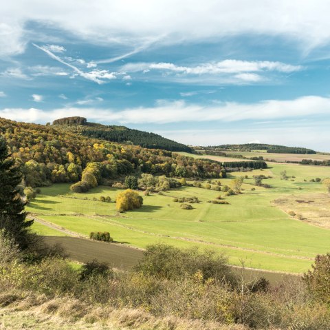Dreiser Weiher op de Vulkangipfel-Pfad wandelroute, &copy; Eifel Tourismus GmbH - D. Ketz