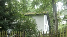 Ferienhaus Ammermann Außeneingang, © Touristik GmbH Gerolsteiner Land > A. Kube