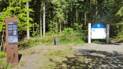 Waldweg mit Infotafeln und einem Wegweiser für den Jakobsweg. Die Tafeln stehen am Rand eines bewaldeten Gebiets, umgeben von Bäumen und Pflanzen.