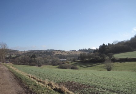 Grüne Felder und sanfte Hügel erstrecken sich unter einem klaren blauen Himmel. Ein Feldweg führt durch die Landschaft., © Touristik GmbH Gerolsteiner Land, Ute Klinkhammer