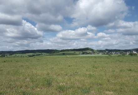 Richtung Aueler Drees, &copy; Touristik GmbH Gerolsteiner Land