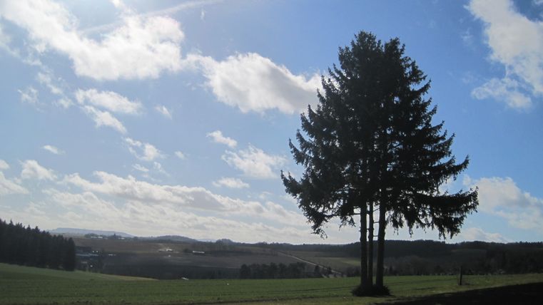 Landschaft mit Baumgruppe im Vordergrund und sonnigem Himmel.