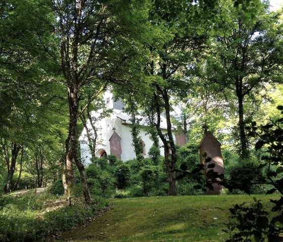 IMG_20200521_173304018, &copy; Gertrud Wieser