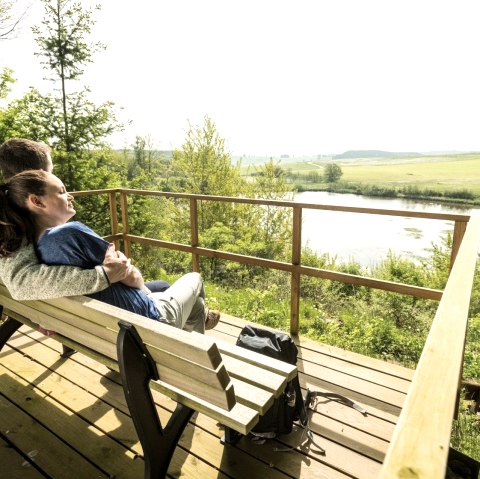 Eichholzmaar (3), © Eifel Tourismus GmbH, Dominik Ketz