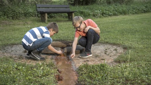 Gees, © Natur- und Geopark Vulkaneifel