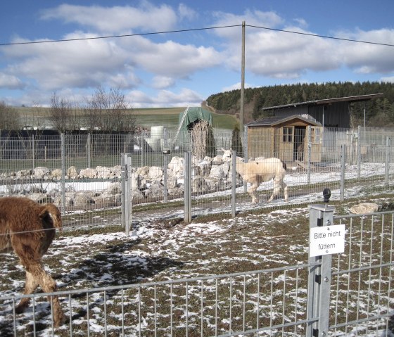 Bielenhof-Alm II, &copy; Touristik GmbH Gerolsteiner Land