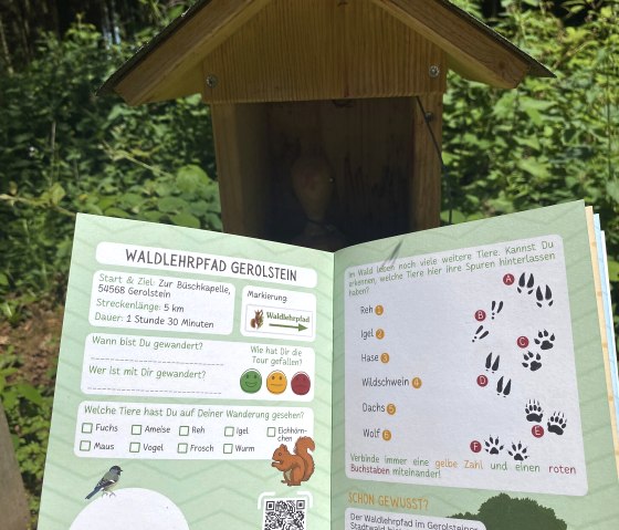 Er is een stempelstation voor onze wandel(S)pas voor kinderen op het natuurpad in het Gerolsteiner bos., © Touristik GmbH Gerolsteiner Land, Leonie Post