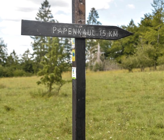 Wegweiser, &copy; Thomas Hendele