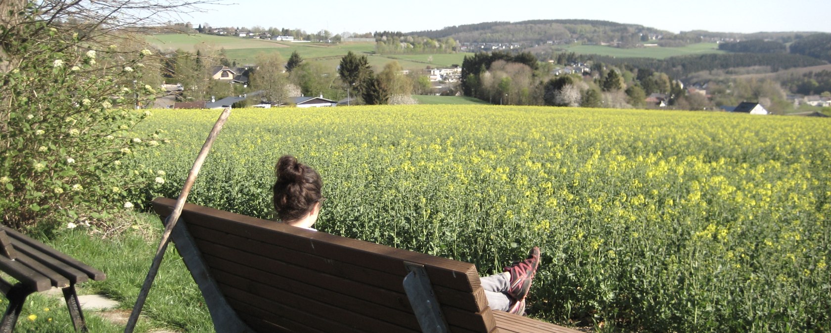 Een persoon zit op een bankje voor een bloeiend koolzaadveld met uitzicht op een heuvelachtig landschap onder een heldere hemel., &copy; Touristik GmbH Gerolsteiner Land
