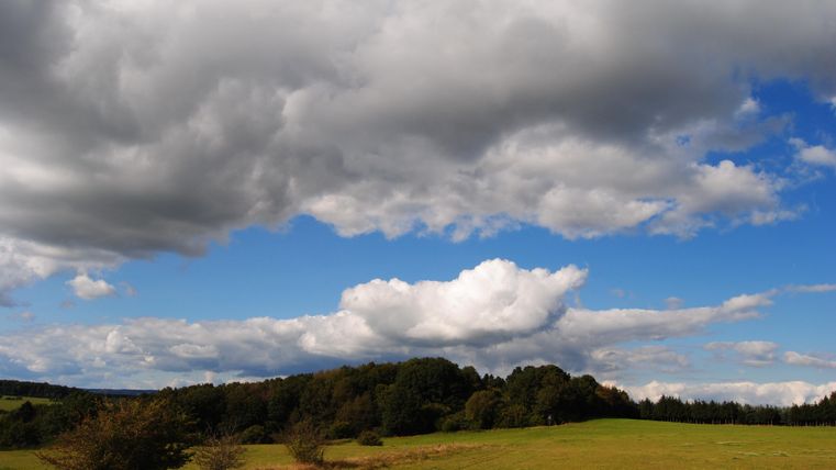 Ein Hügel, bewachsen mit Gras und Bäumen, unter einem leicht bewölkten Himmel