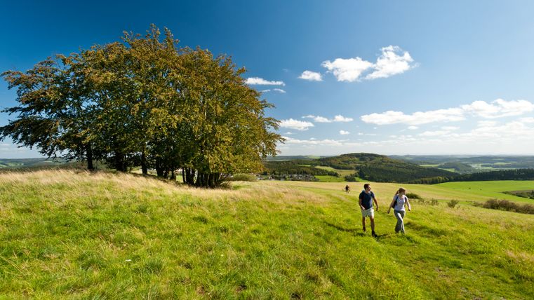 Zwei Personen wandern auf einer grünen Wiese mit Bäumen im Hintergrund und einem weiten Blick über die Landschaft.
