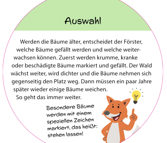 Informatiebord &quot;Selectie&quot; met vosmascotte.