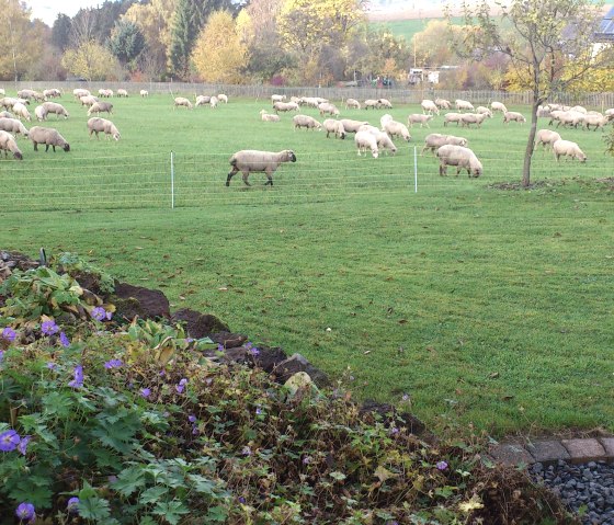 Ausblick, &copy; Faber