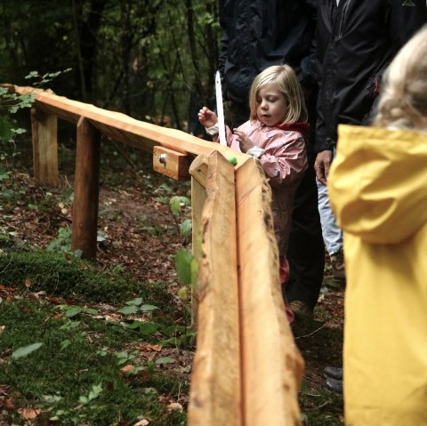 A boy runs through a forest next to a wooden track on which a colourful ball is rolling.
