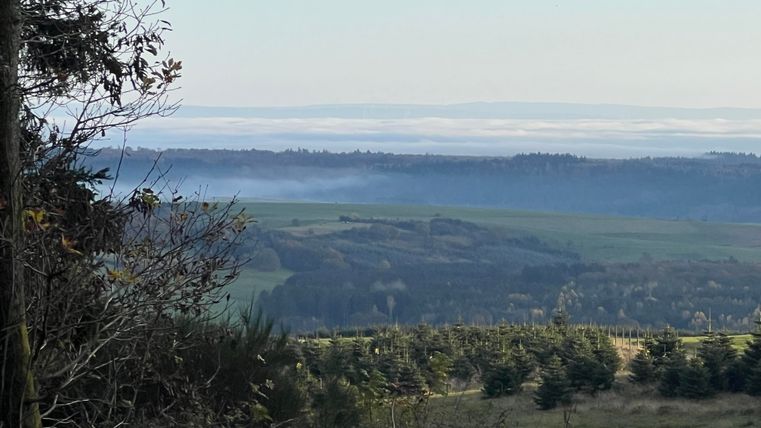 Een schilderachtig uitzicht op een groene landschap met zachte heuvels en lichte mist. De lucht is helder en er zijn enkele bomen op de voorgrond.