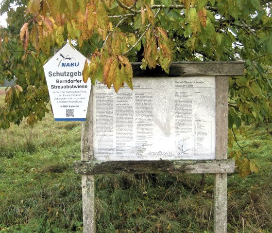 Infotafel im Schutzgebiet Berndorfer Streuobstwiese, umgeben von herbstlichen Blättern. NABU-Logo und Text über Naturschutz sind sichtbar., © Touristik GmbH Gerolsteiner Land, Ute Klinkhammer