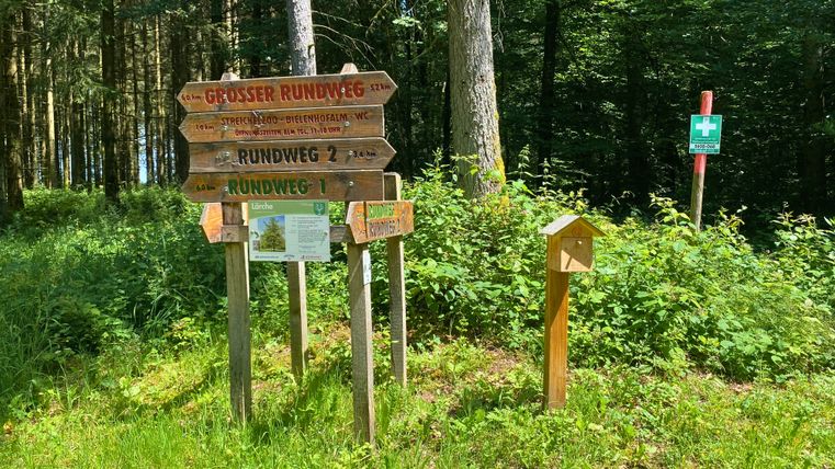 Holzschilder zu Wanderwegen inmitten eines Waldes.