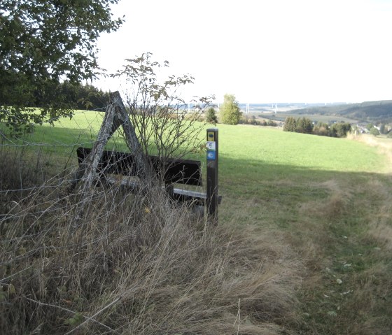 A bench stands next to a hiking trail in a green landscape near Ormont. Hills and wind turbines can be seen in the background., © Touristik GmbH Gerolsteiner Land