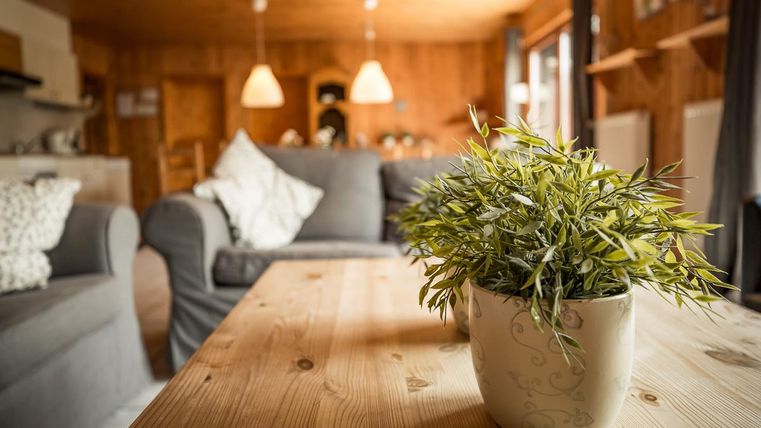 Ein gemütlicher Wohnraum mit einem Holztisch und einem Topf mit Pflanzen. Im Hintergrund sind bequeme Sofas und sanfte Beleuchtung zu sehen.